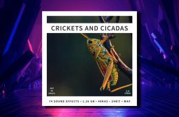 JSE Crickets and Cicadas WAV