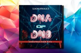 Dna of DnB Construction Kits WAV