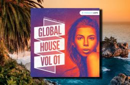 Producer Loops Global House Vol1 WAV