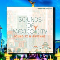 Foley V6 Sounds Of Mexico City WAV