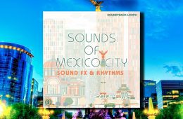 Foley V6 Sounds Of Mexico City WAV