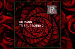 Riemann Tribal Techno 2 WAV