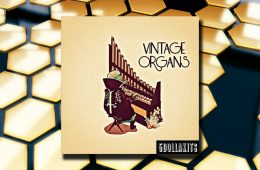 5DOLLAKITS Vintage Organs WAV