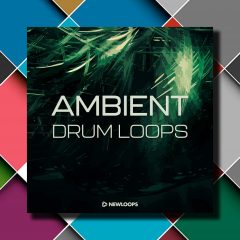 New Loops Ambient Drum Loops WAV