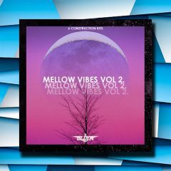 OldyMBeatz Mellow Vibes Vol2 WAV-MID