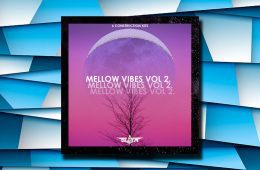 OldyMBeatz Mellow Vibes Vol2 WAV-MID