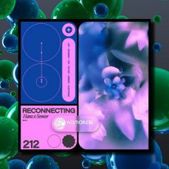 Reconnecting Hanz-Sem0r WAV