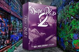 Joka Beatz Dope RnB Vol2 WAV-MIDI