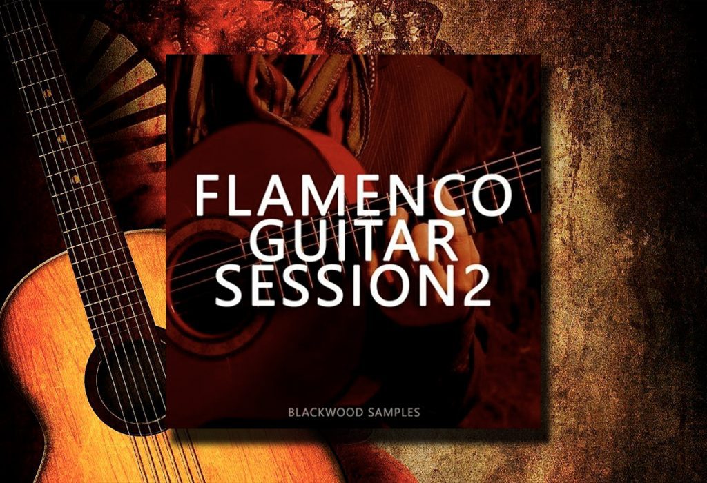 Flamenco Guitar Session 2 WAV SOLOSAMPLES
