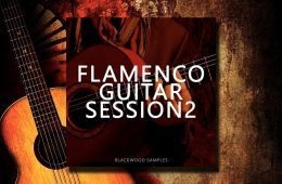 Flamenco Guitar Session 2 WAV