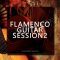 Flamenco Guitar Session 2 WAV