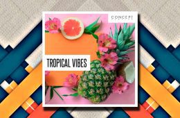 Concept Samples Tropical Vibes WAV