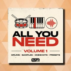 AYN Sounds All You Need Vol1 MULTi