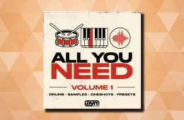 AYN Sounds All You Need Vol1 MULTi