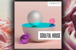 Concept Samples Soulful House WAV