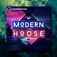 Industrial Strength Modern House WAV