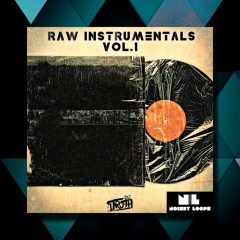 5DOLLAKITS Raw Instrumentals Vol1 WAV