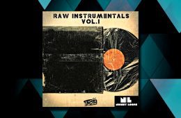 5DOLLAKITS Raw Instrumentals Vol1 WAV