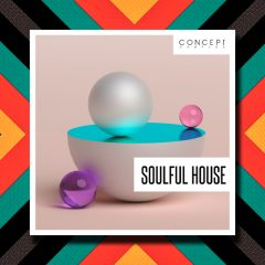 Concept Samples Soulful House WAV