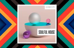 Concept Samples Soulful House WAV