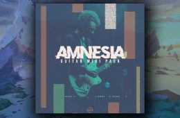 New Nation Amnesia Guitar WAV-MiDi