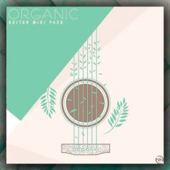 New Nation Organic Guitar WAV-MiDi