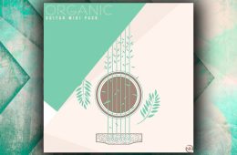 New Nation Organic Guitar WAV-MiDi