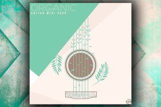 New Nation Organic Guitar WAV-MiDi