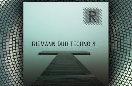 Riemann Dub Techno 4 WAV