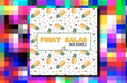 New Nation Fruit Salad WAV-MiDi