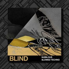 Blind Audio Nubilous Slowed Techno WAV