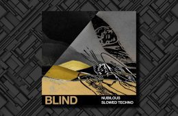 Blind Audio Nubilous Slowed Techno WAV