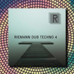 Riemann Dub Techno 4 WAV