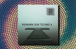 Riemann Dub Techno 4 WAV