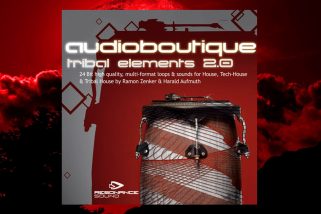 Audio Boutique Tribal Elements 2 MULTi