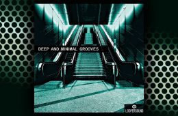Deep and Minimal Grooves WAV