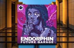 Endorphin Future Garage MULTi