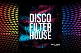 Disco Filter House WAV-MiDi