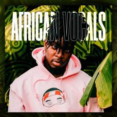 Diginoiz African Vocals WAV