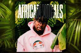 Diginoiz African Vocals WAV