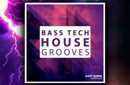 Bass Tech House WAV-MiDi