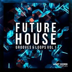 Future House Grooves-Loops WAV