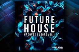 Future House Grooves-Loops WAV