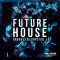 Future House Grooves-Loops WAV