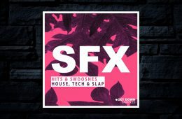 Get Down Samples SFX Vol1 WAV