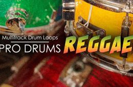 Image Sounds Pro Drums Reggae WAV