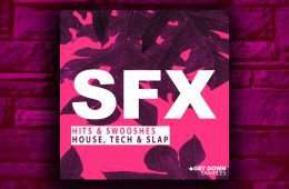 Get Down Samples SFX Vol1 WAV