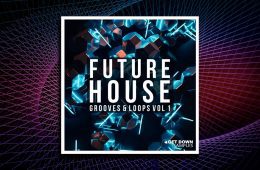 Future House Grooves-Loops WAV