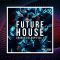 Future House Grooves-Loops WAV