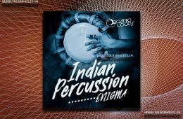 OLE Indian Percussion WAV